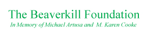 beaverkill-foundation