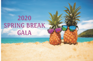 Hospice of Orange and Sullivan 2020 Spring Break Gala