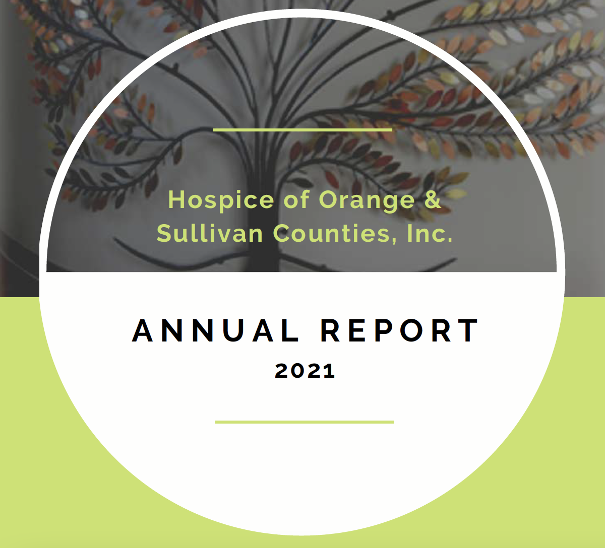 Hospice Annual Report - 2021