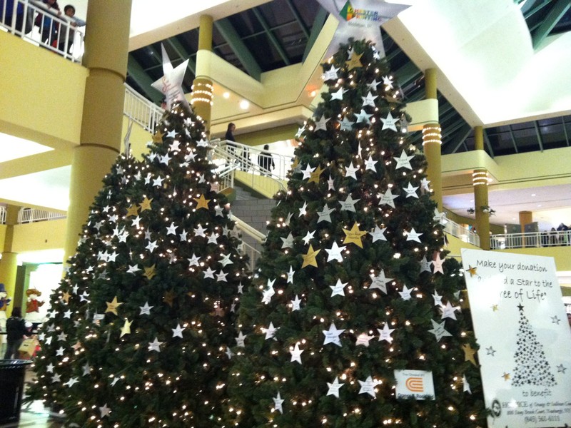 Holiday Tree of Life memorial stars